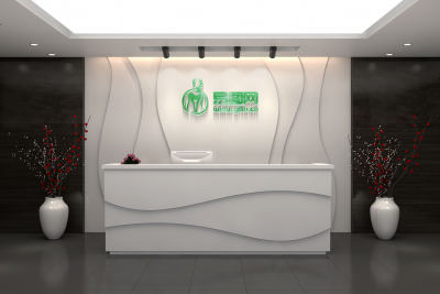 高端白色前台LOGO样机 公司名称背景墙